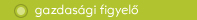 gazdasági figyelő